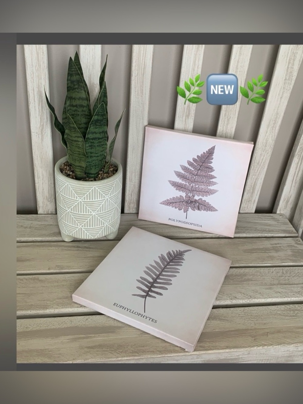 Boutique Canvas Wall Art 2pcs Set 🍃🆕🍃
 Frameless Canvas Art, 8.5x8.5 in.